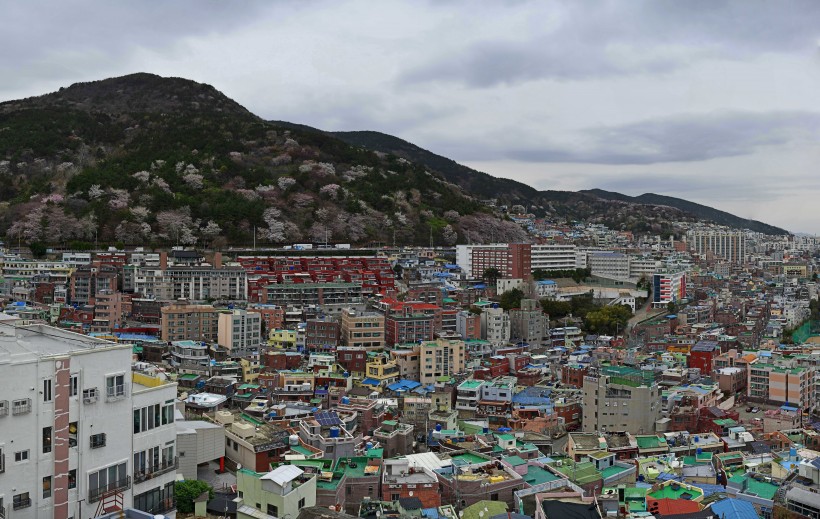 韓國釜山建筑風(fēng)景圖片