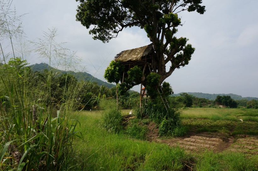 斯里蘭卡風(fēng)景圖片