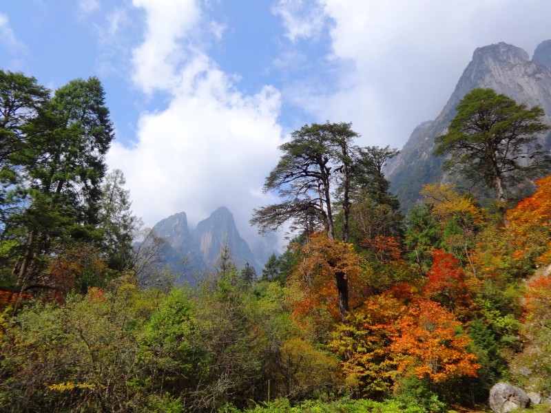 四川燕子沟风景图片