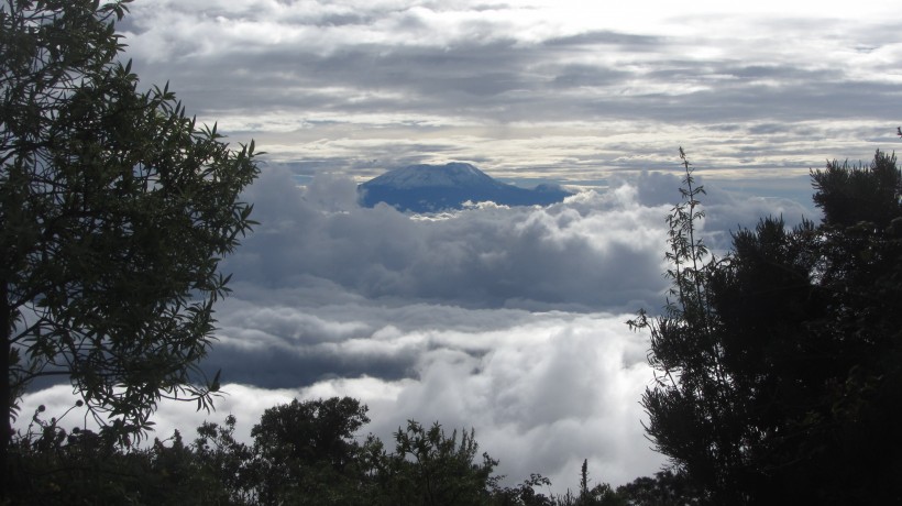 坦桑尼亞乞力馬扎羅山風(fēng)景圖片