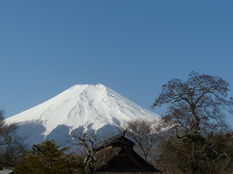 有积雪的富士山图片