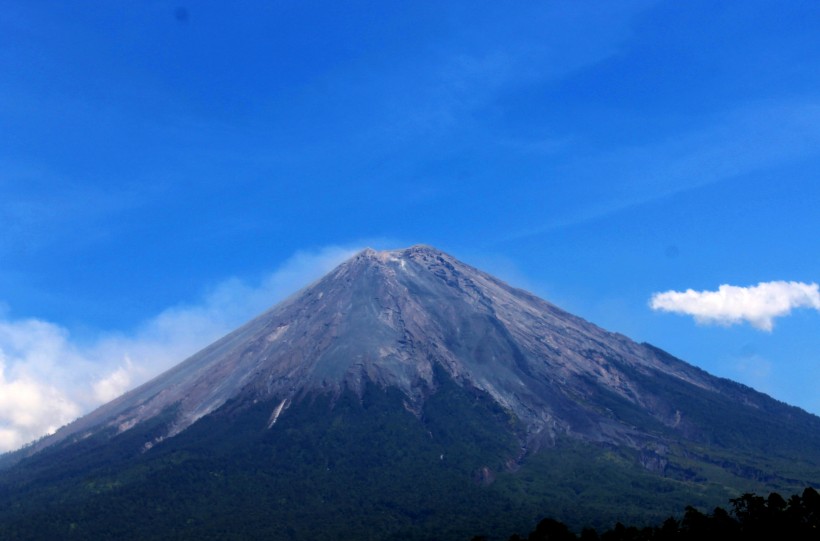 有積雪的富士山圖片