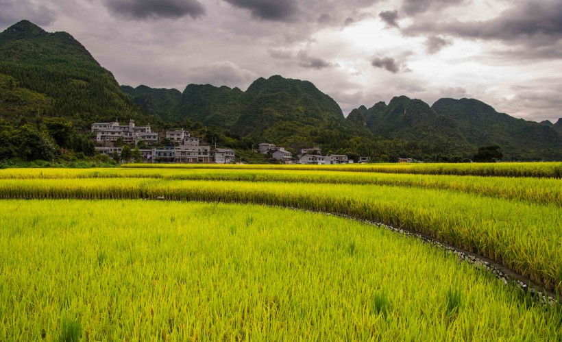 贵州万峰林自然风景图片