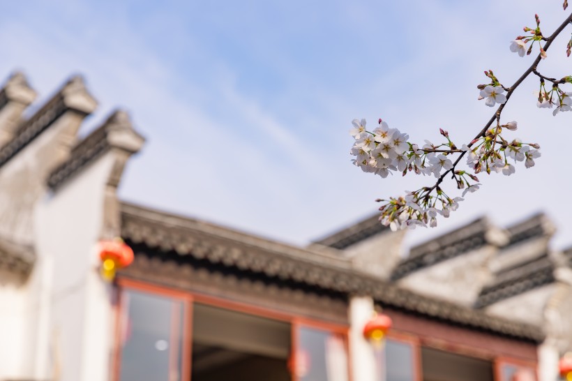 古风浓郁的浙江西塘古镇风景图片