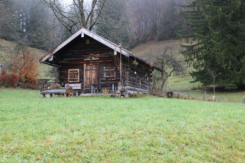 加拿大魁北克森林小屋风景图片