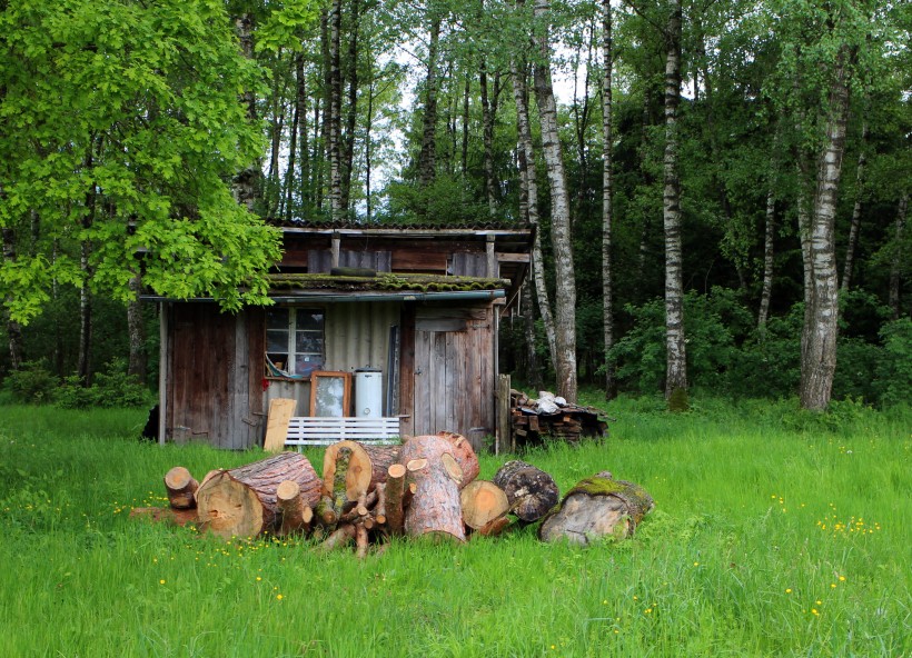 加拿大魁北克森林小屋风景图片