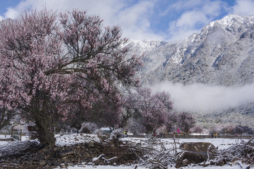 雪后的索松村風(fēng)景圖片