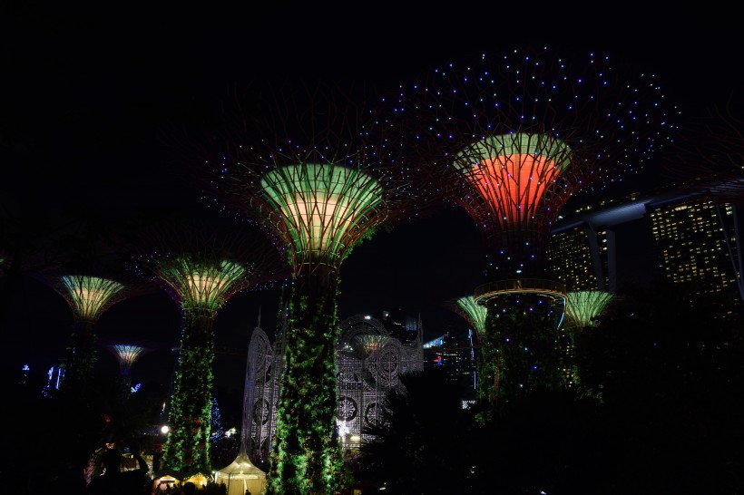 新加坡濱海灣花園風(fēng)景圖片