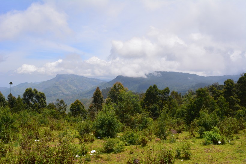 印度泰米爾納德邦風(fēng)景圖片