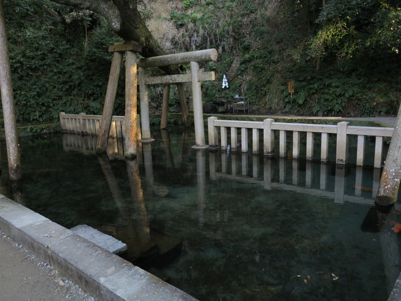 日本鹿島神宮洗手池塘圖片