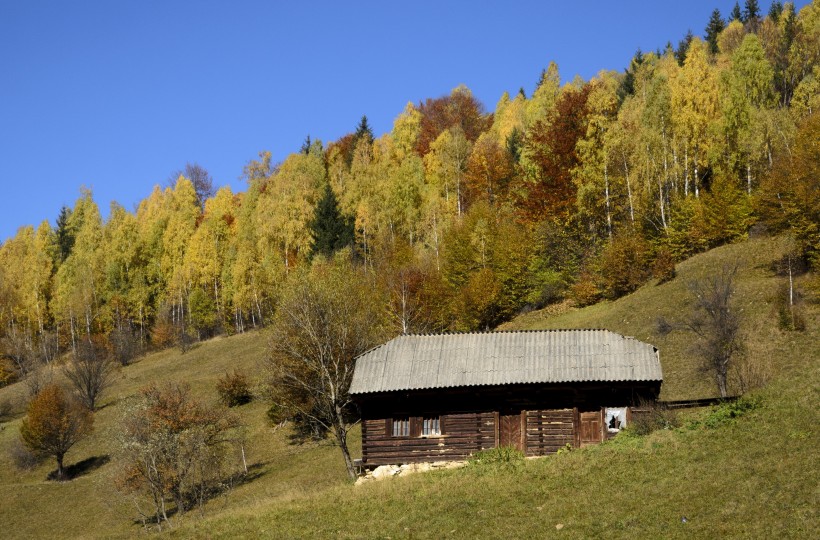 加拿大魁北克森林小屋风景图片