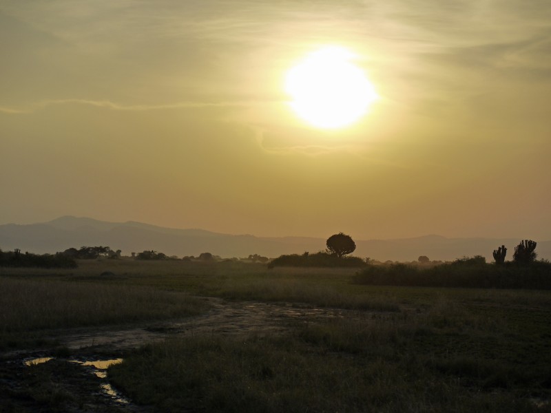 非洲乌干达风景图片