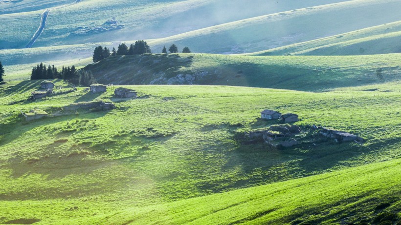 绿色的新疆天山草原牧场风景图片