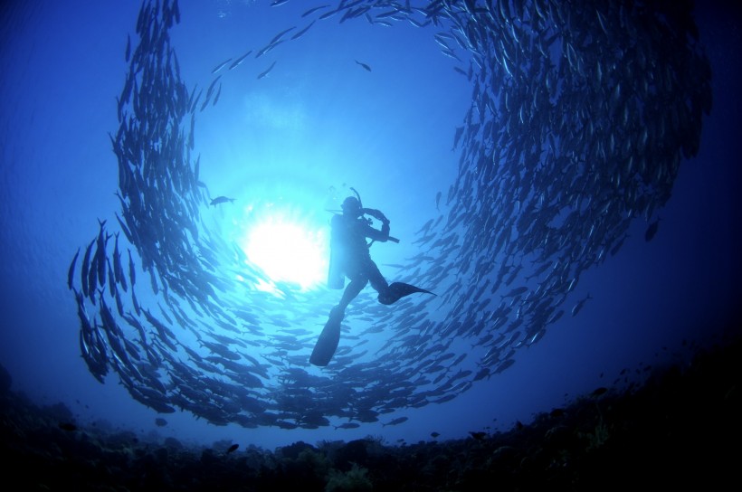 深海潜水图片