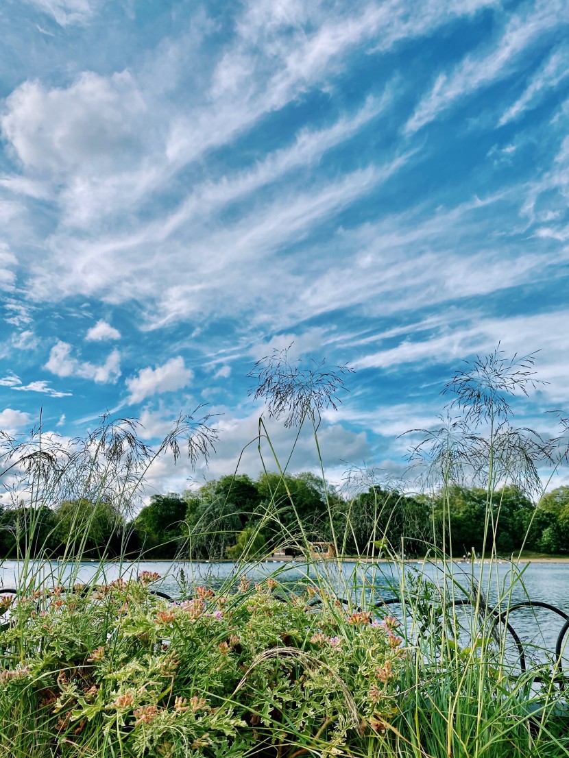 英國倫敦海德公園風(fēng)景圖片