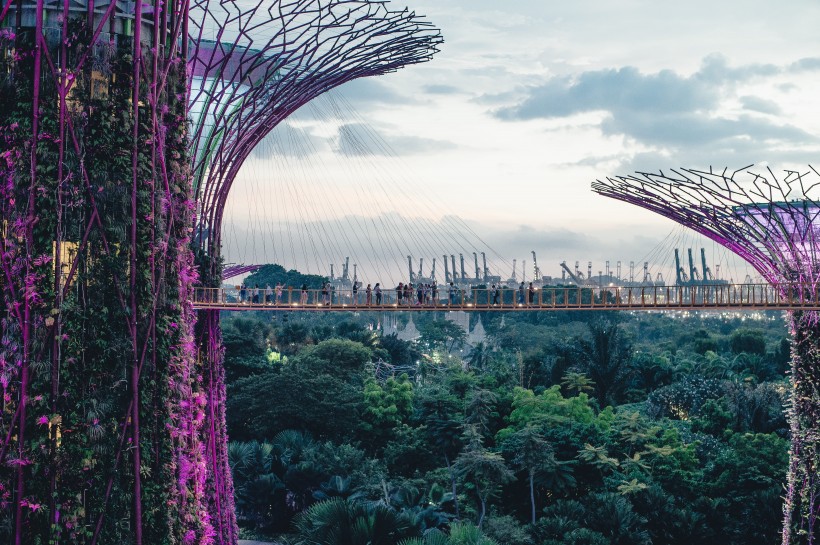 新加坡华丽的建筑风景图片
