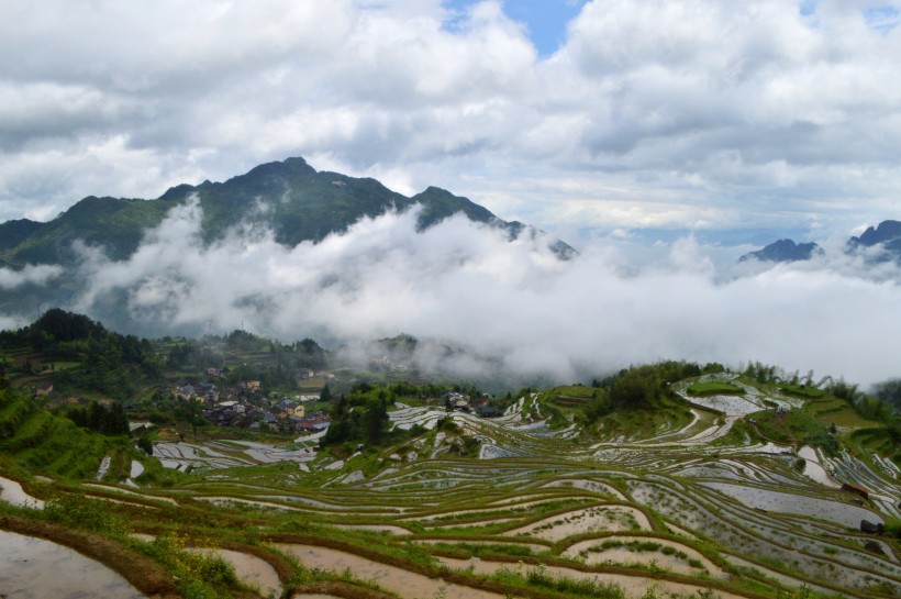 浙江麗水云和梯田自然風(fēng)景圖片