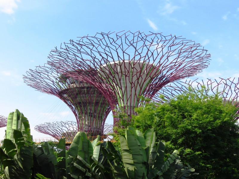 新加坡濱海灣花園風(fēng)景圖片