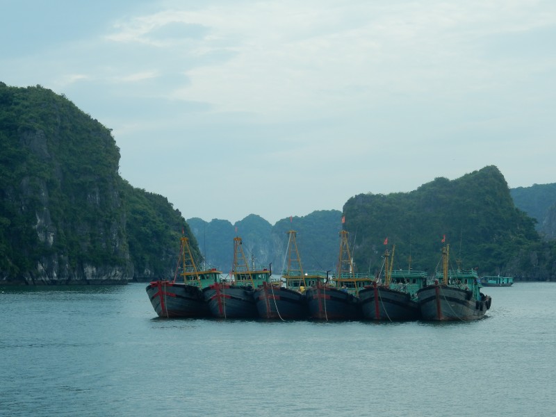 越南下龙湾风景图片