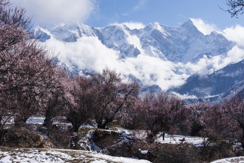 雪后的索松村風景圖片