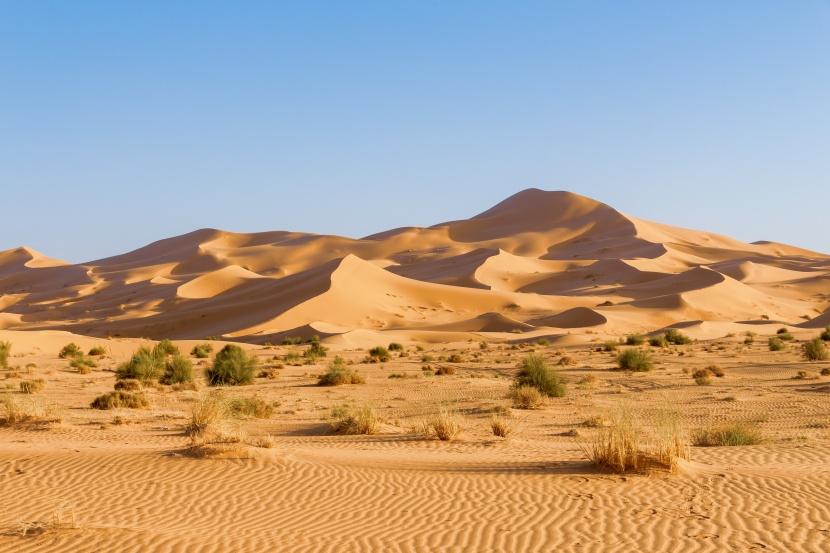 荒凉的撒哈拉沙漠自然风景图片