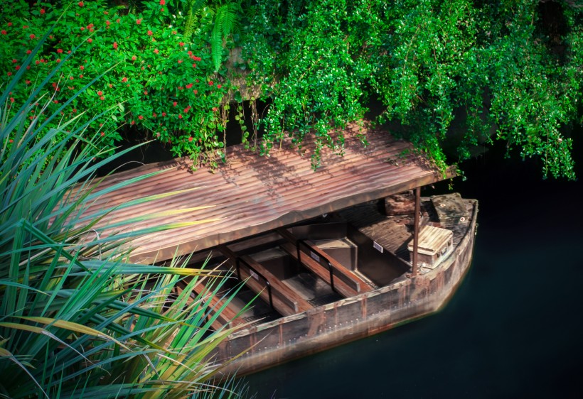 南美洲亚马逊河流风景图片