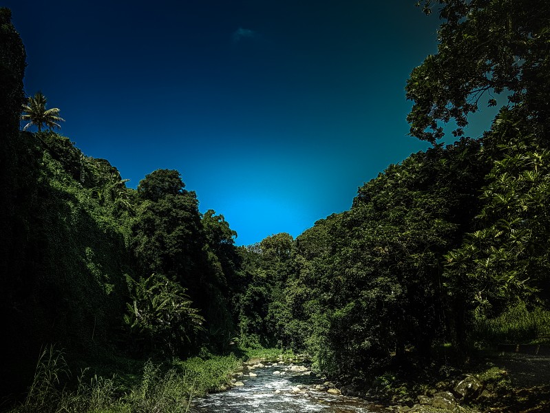 毛里求斯海岸风景图片