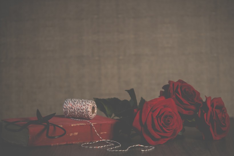 火红热情表白的红色玫瑰花图片