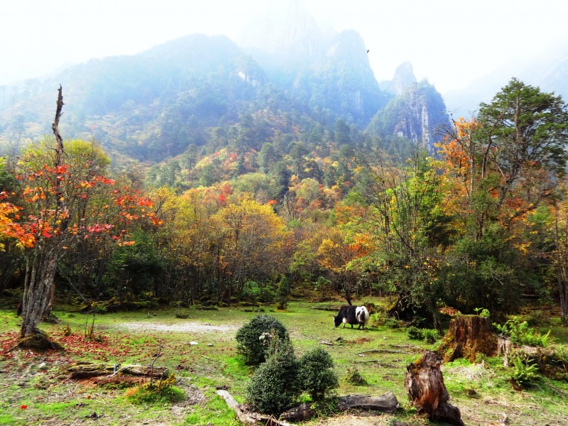 四川燕子沟风景图片