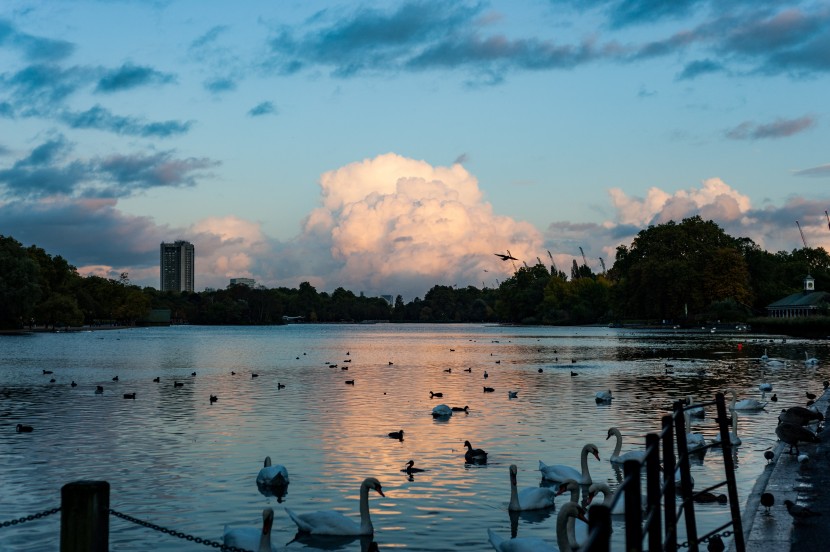 英國倫敦海德公園風(fēng)景圖片