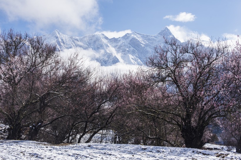 雪后的索松村风景图片