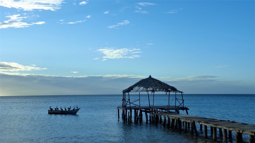 哥斯達(dá)黎加海岸風(fēng)景圖片