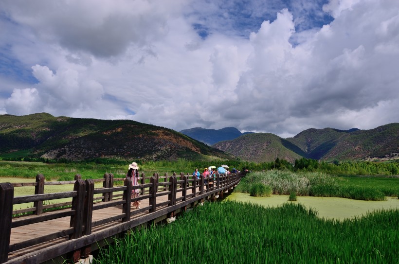 泸沽湖草海风景图片