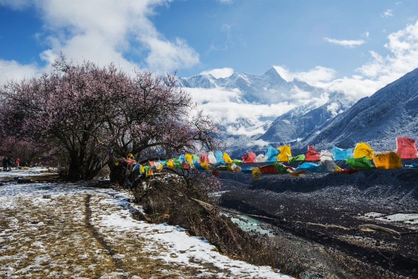 雪后的索松村风景图片