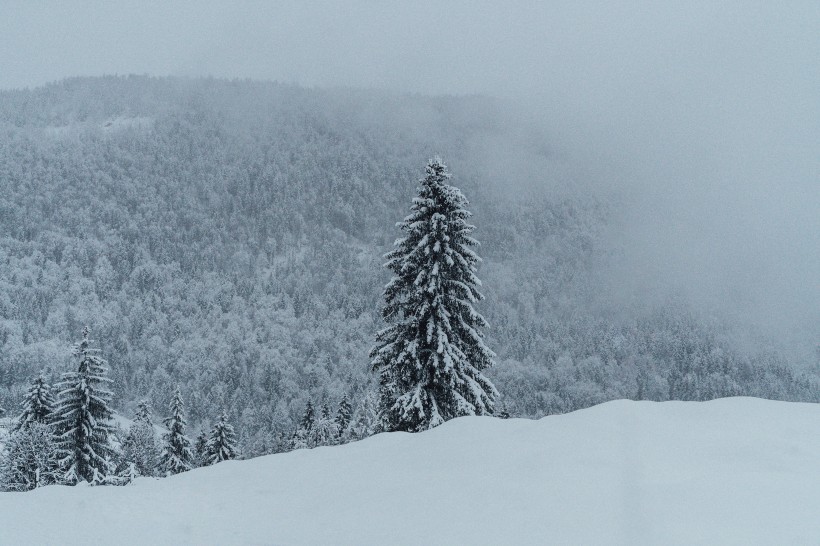 奥地利的雪山图片