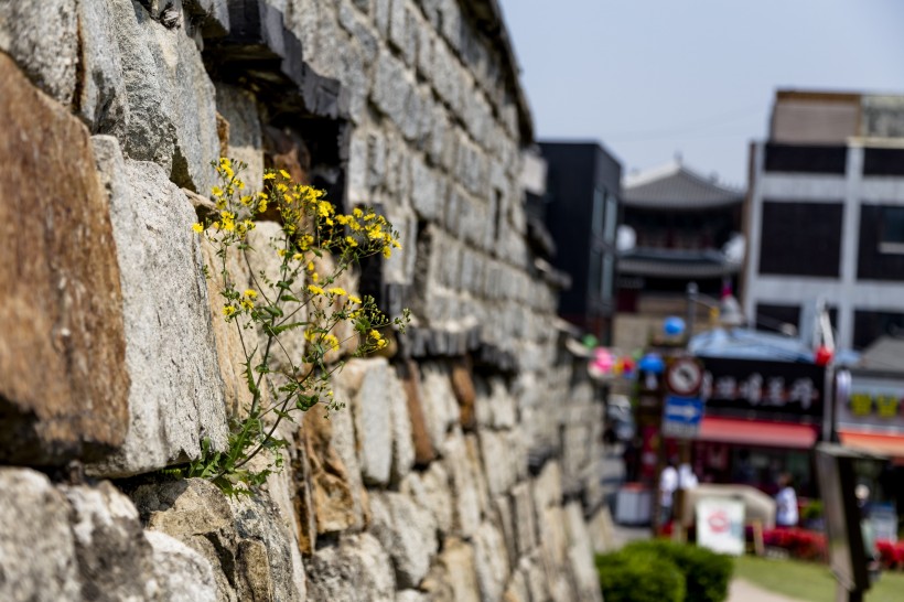 韓國(guó)水原華城建筑風(fēng)景圖片