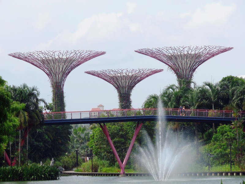 新加坡濱海灣花園風(fēng)景圖片