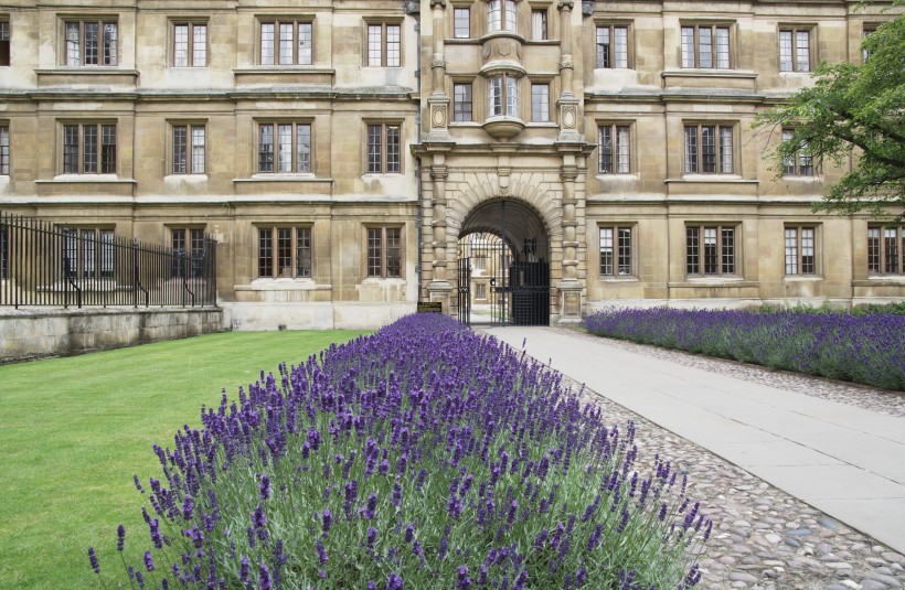 英国剑桥大学建筑风景图片