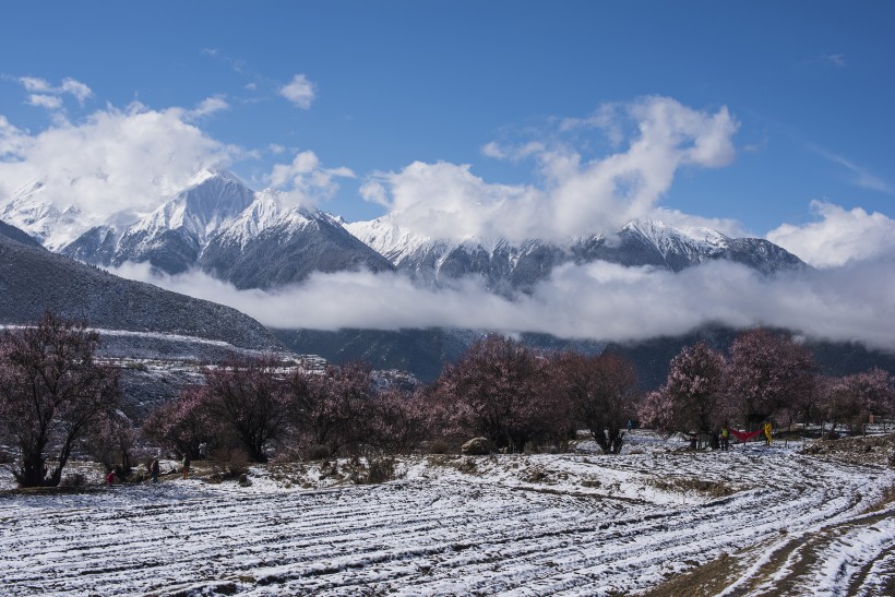 雪后的索松村风景图片