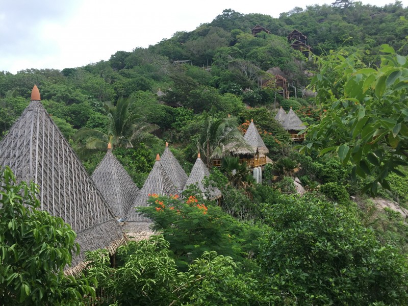 泰国皮皮岛风景图片