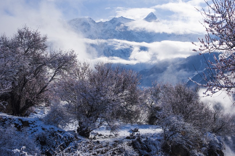 雪后的索松村風(fēng)景圖片