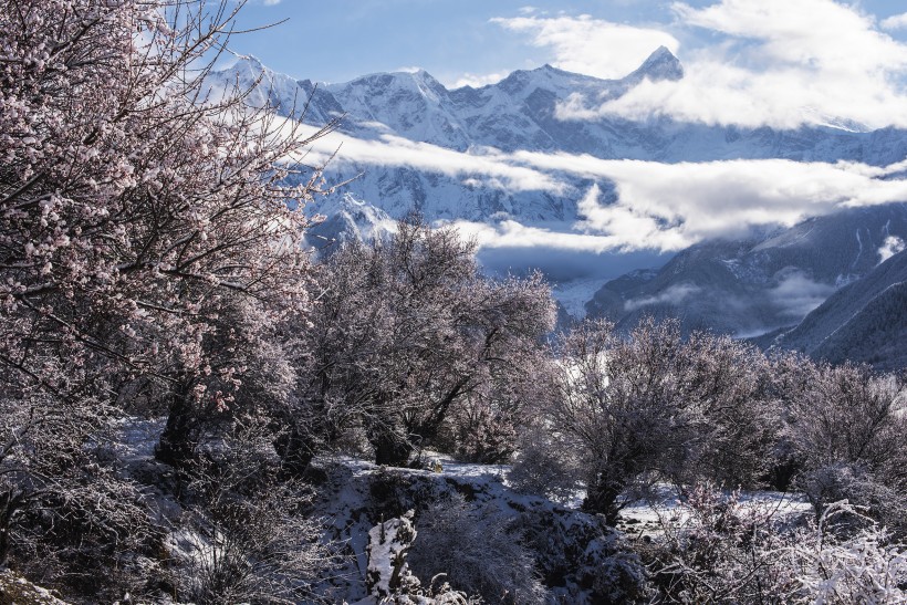 雪后的索松村風(fēng)景圖片