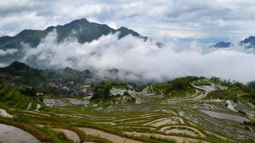 浙江麗水云和梯田風景圖片