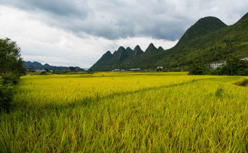 贵州万峰林自然风景图片