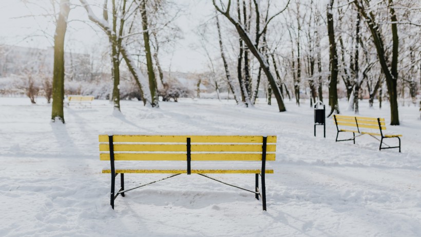 公园里的雪景图片