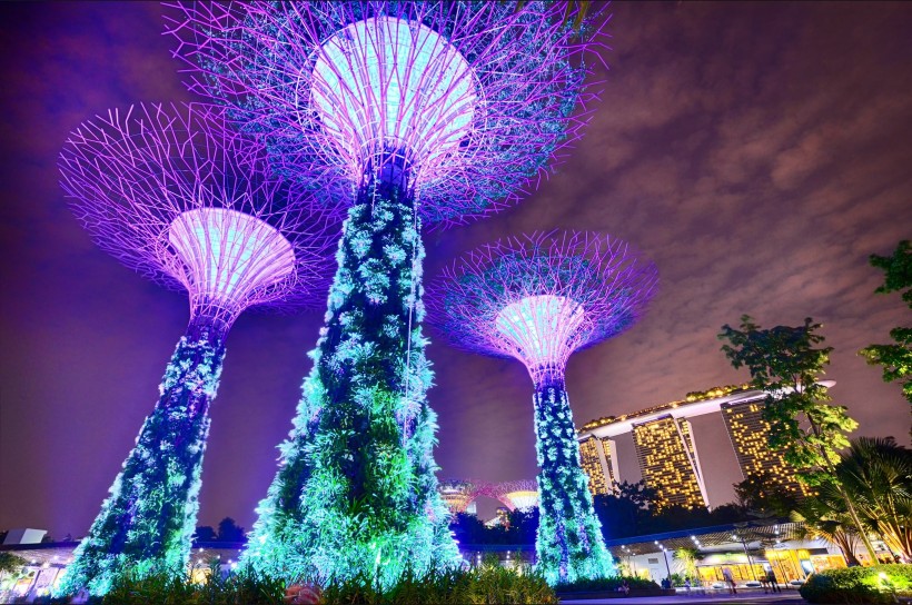 新加坡滨海湾花园风景图片