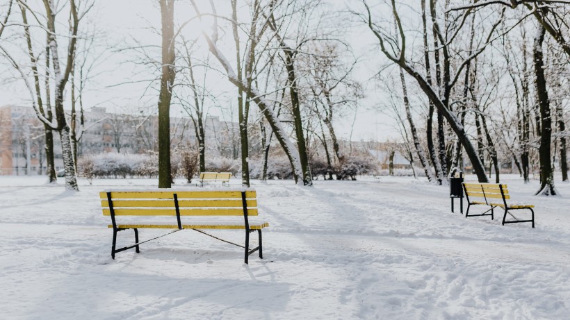 公園里的雪景圖片