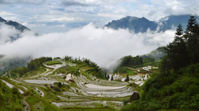 浙江丽水云和梯田风景图片