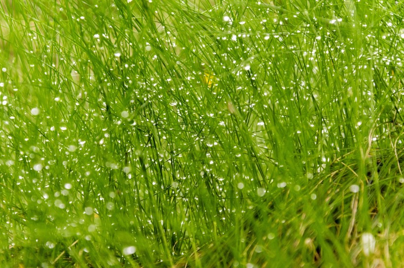 意大利普拉托美麗風(fēng)景圖片