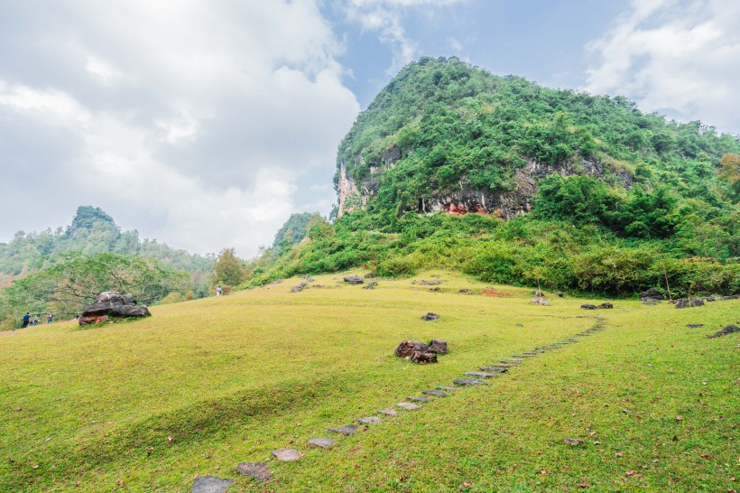 广西德保红枫森林公园风景图片